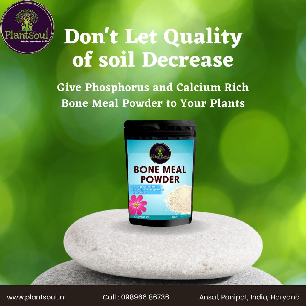 PlantSoul3's tweet photo. 🟩 DON'T LET QUALITY OF SOIL DECREASE 

✅ Give Phosphorus and Calcium Rich Bone Meal Powder to your Plants 🪴

📞 CALL NOW : 𝟎𝟗𝟖𝟗𝟔𝟔 𝟖𝟔𝟕𝟑𝟔

VISIT AT : https://t.co/iMwup8M6ne

#plantsoul #organic #gardening #plants #soil  #seedlings #agriculture #plants #organicfood https://t.co/MURPuCdGnY