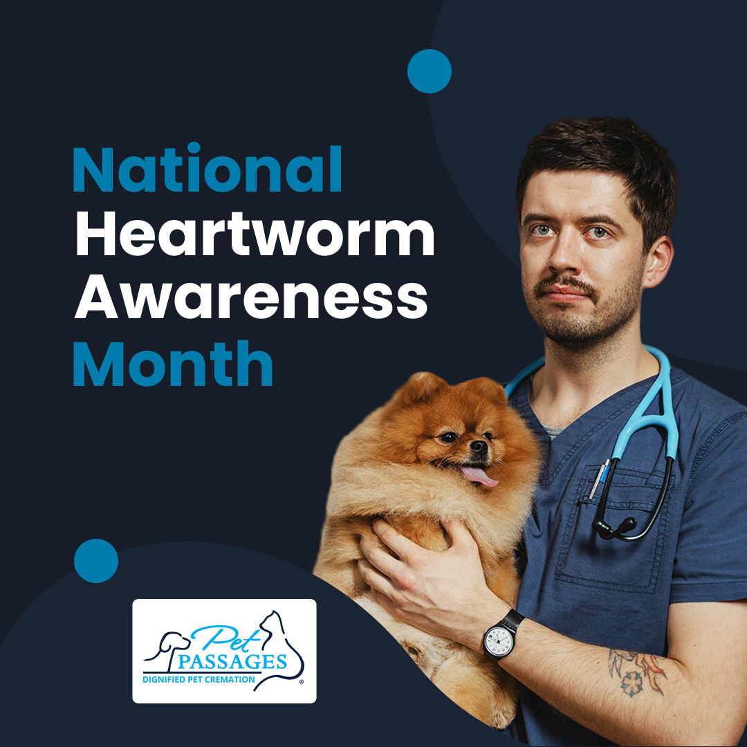 Call your vet to learn about steps you can take to help prevent heartworms and other risks to your pet's health. #HeartwormAwarenessMonth