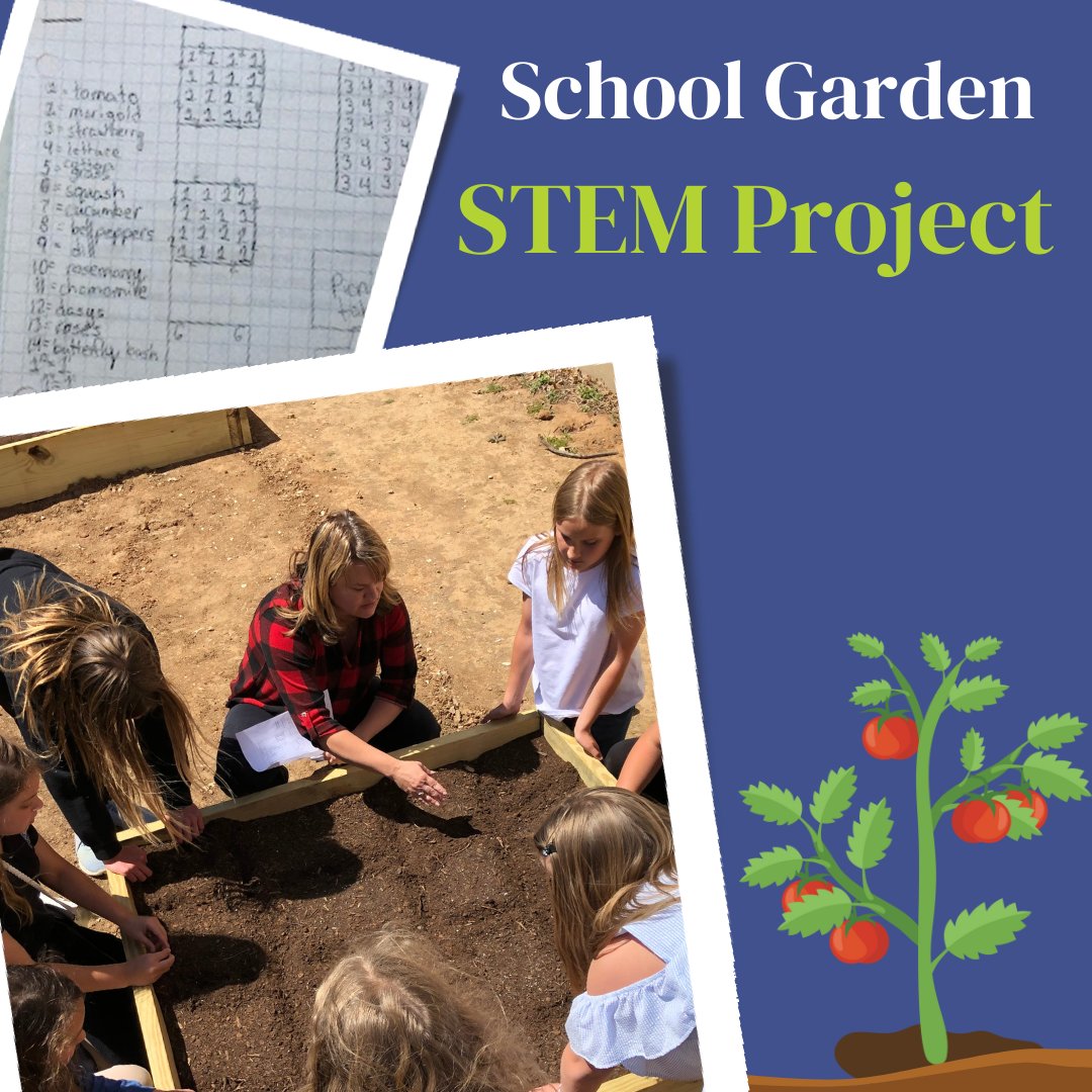 Vivify STEM tweet media