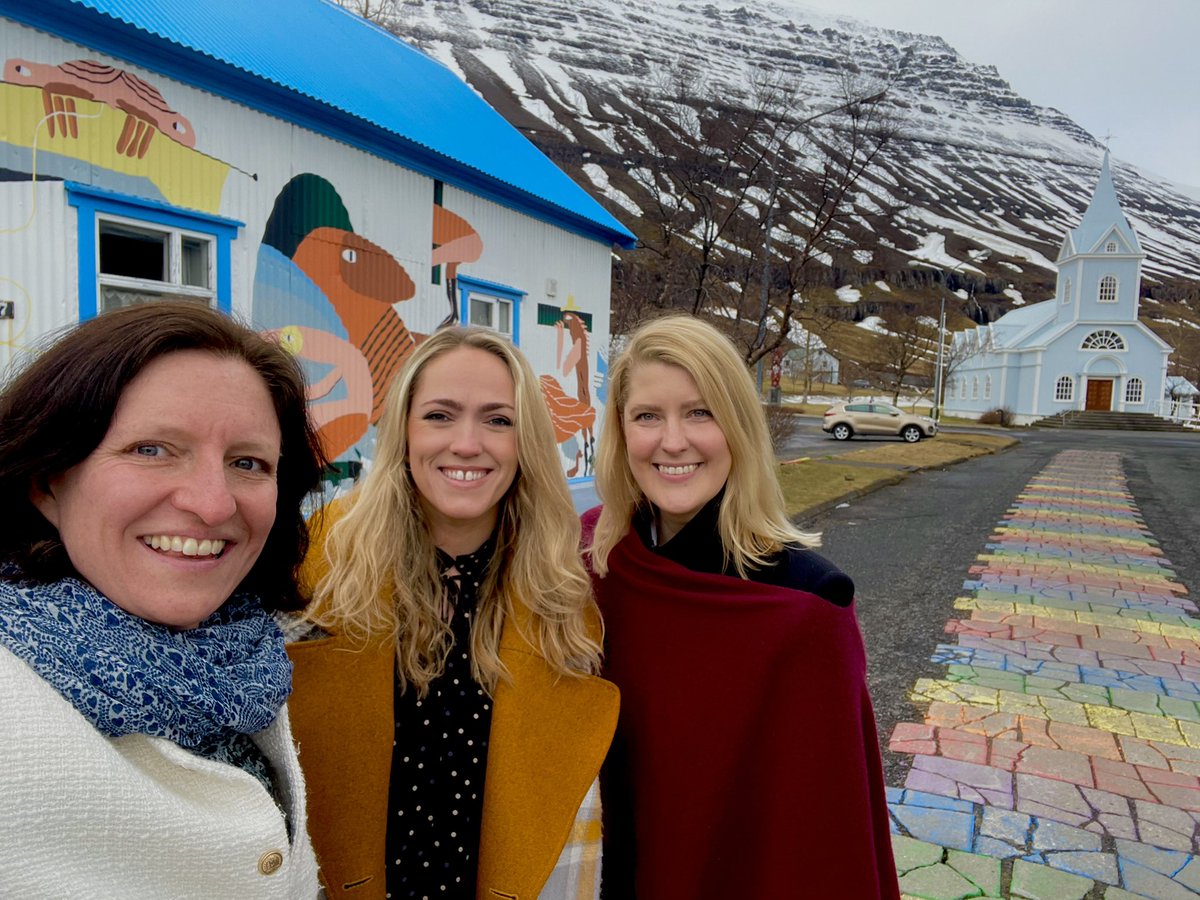 Team selfie at the end of our east #Iceland trip