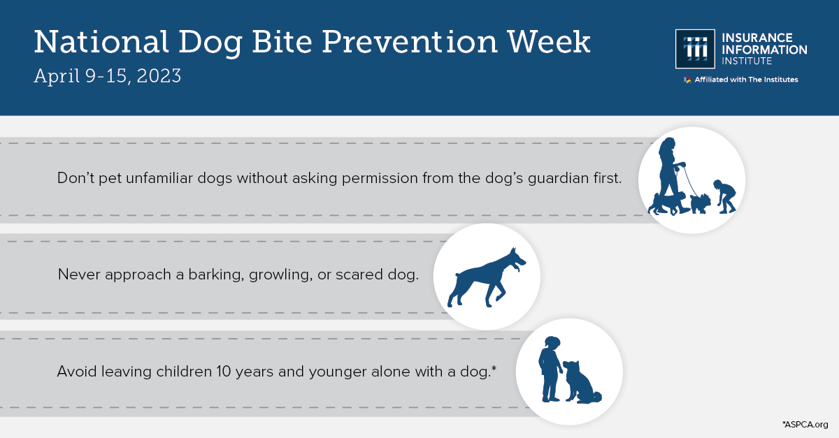iiiorg's tweet image. During #DogBitePreventionWeek, take time to understand your liabilities as a dog owner and how to prevent your dog from causing injury. @iiiorg offers these liability and safety tips: bit.ly/3vaeGQU #DogBitePrevention @ASPCA