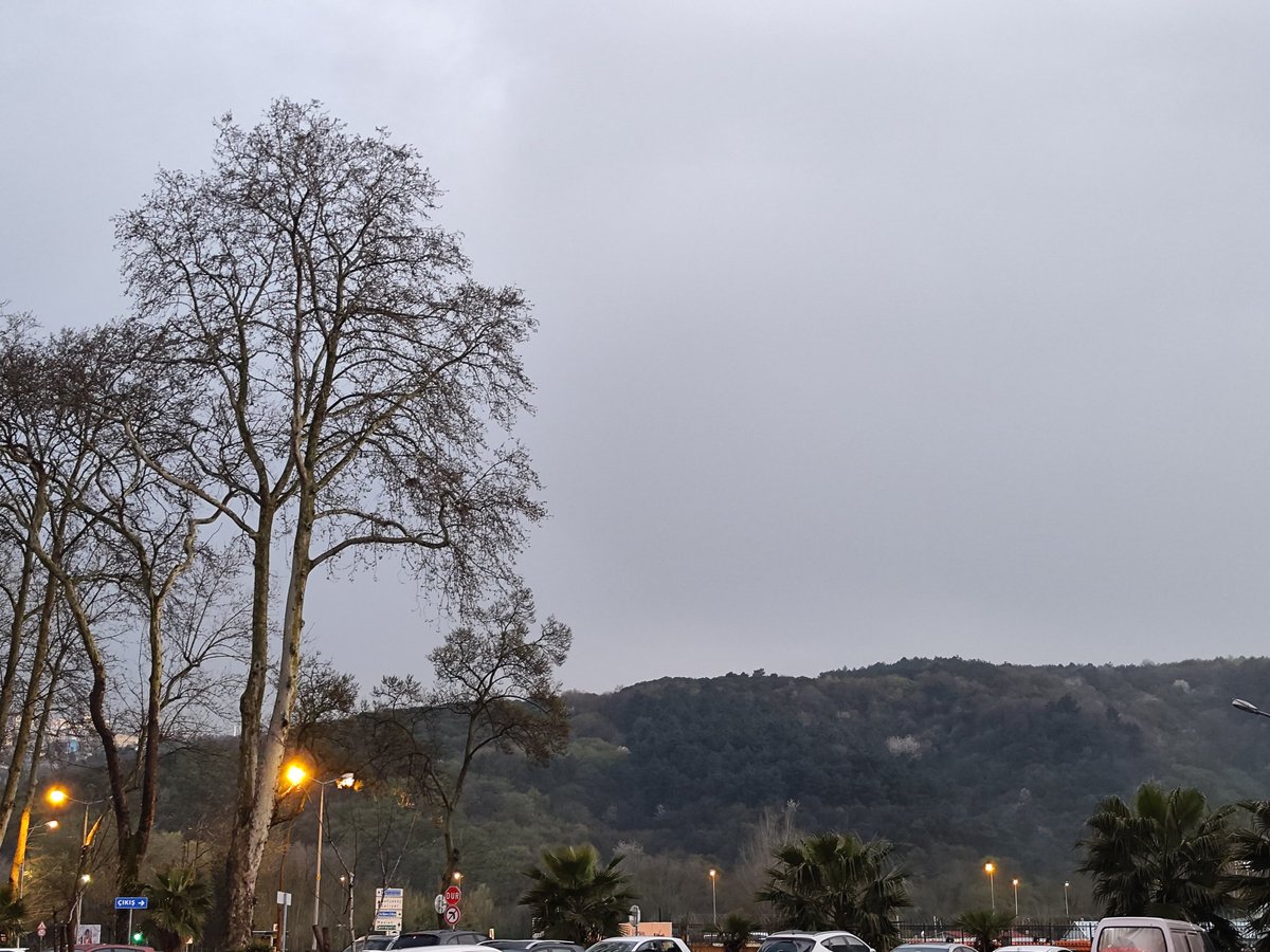 Sarıyer bir başka ağa