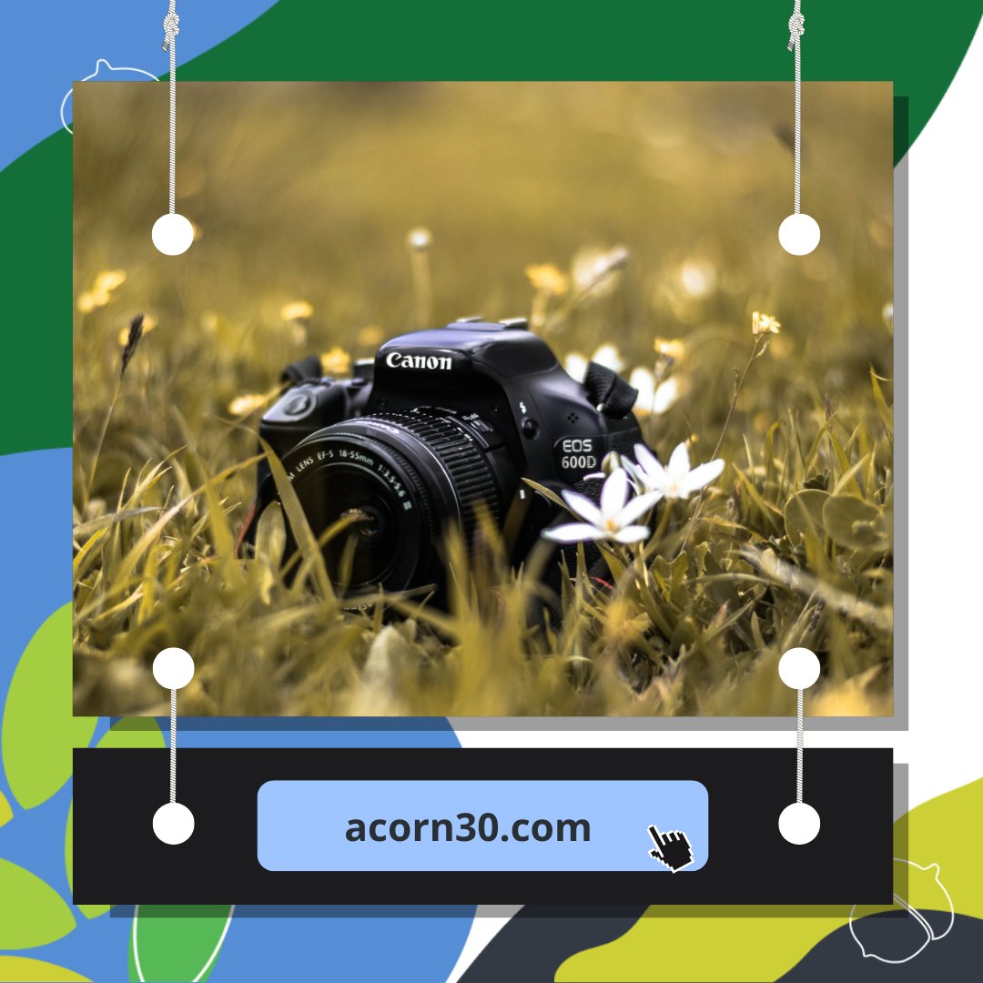 acorn30 tweet media
