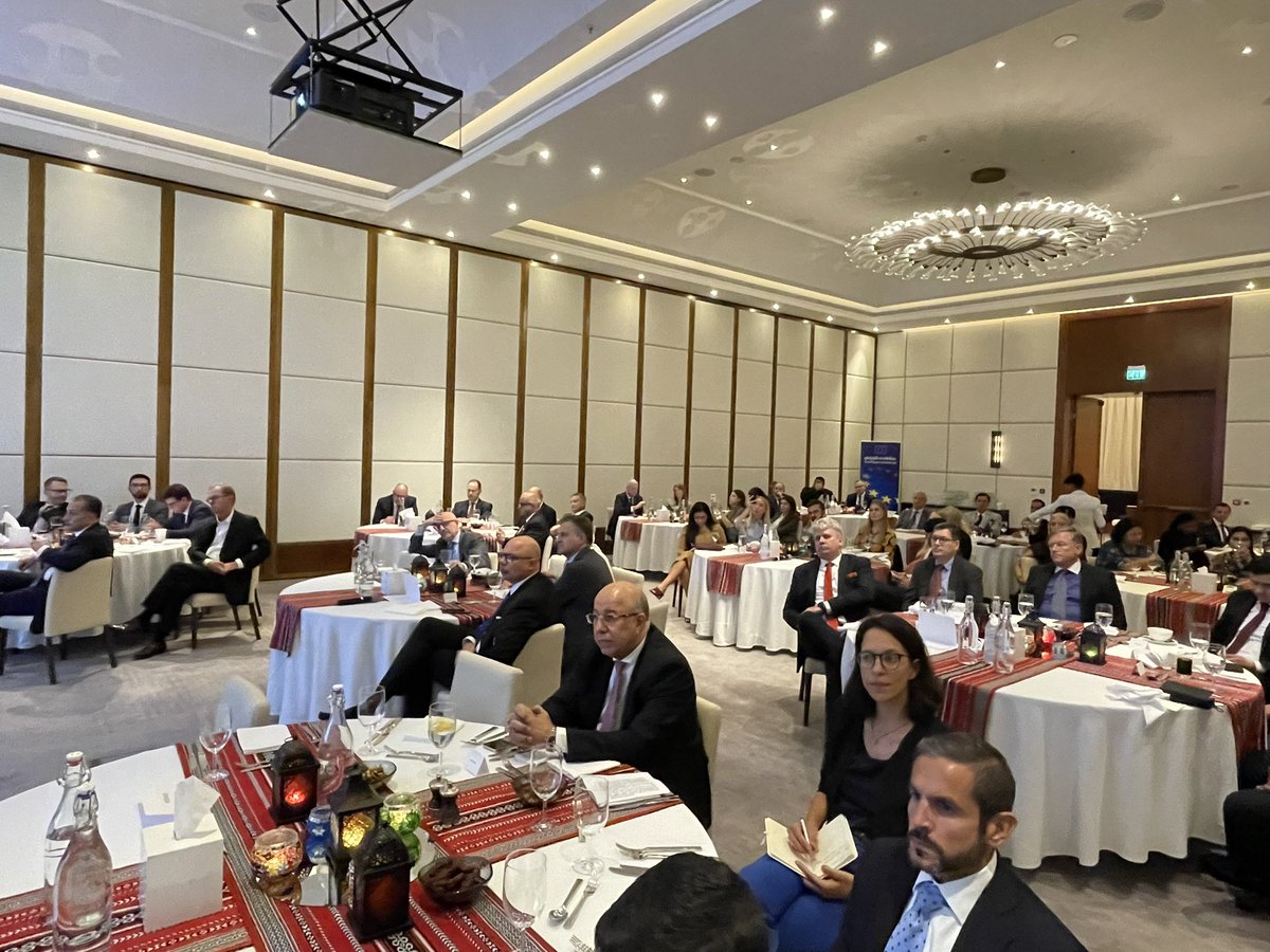 IRENA's tweet photo. 📸Today @IRENA, @EUintheUAE and @UAEMissionIRENA co-hosted the 11th Renewables Talk for IRENA Permanent Representatives to discuss the opportunities and challenges of the #EUGreenDeal and exchange best practices on accelerating renewable energy deployment. https://t.co/VZnIQYbixO
