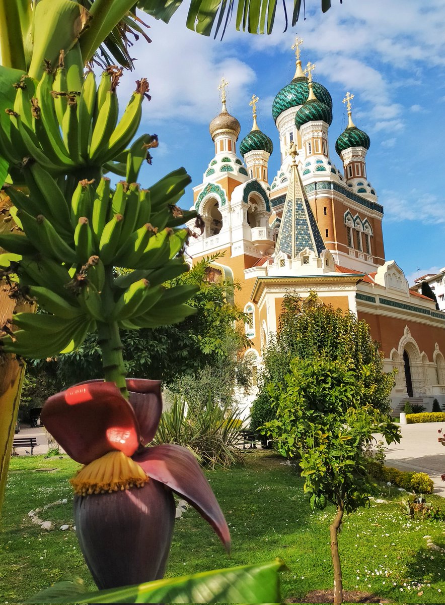 06katze's tweet photo. Cathédrale Russe, Nice
☀️👌 https://t.co/ltUqSlMhsI