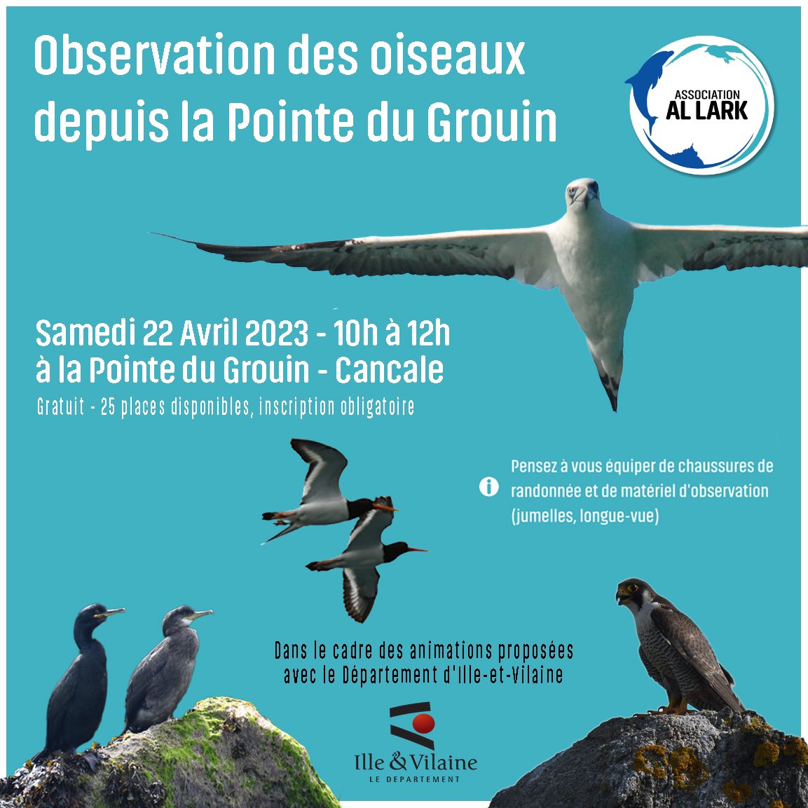 Allark35's tweet photo. 🗓 Dans le cadre des animations "#Nature et #Patrimoine" proposées par le département @ille_et_vilaine, nous organisons une sortie ornithologique gratuite dédiée aux oiseaux marins.

👉 Inscription &amp; lieu de rdv : https://t.co/xooBv2xybT https://t.co/miDBRMdctD