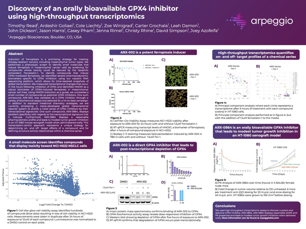 Arpeggio is changing the way we discover drugs. Check out our <a href="/AACR/">AACR</a> poster outlining how we used high-throughput transcriptomics to discover a novel GPX4 inhibitor!
