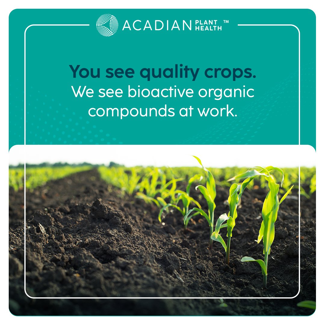 APH extracts contain bioactive organic molecules that help give plants the strength they need to make their own antioxidants, ensuring a better crop quality. Learn more and check out our field trial results: bit.ly/3UvklOu #farming #sustainable