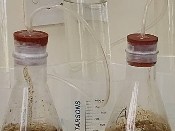 S0UNAK's tweet photo. @darkmicrobio @GeoSantiagoM We use these for flasks. Same kind of stoppers are available for GL45 cap bottles. https://t.co/fIm5Ei5sTz