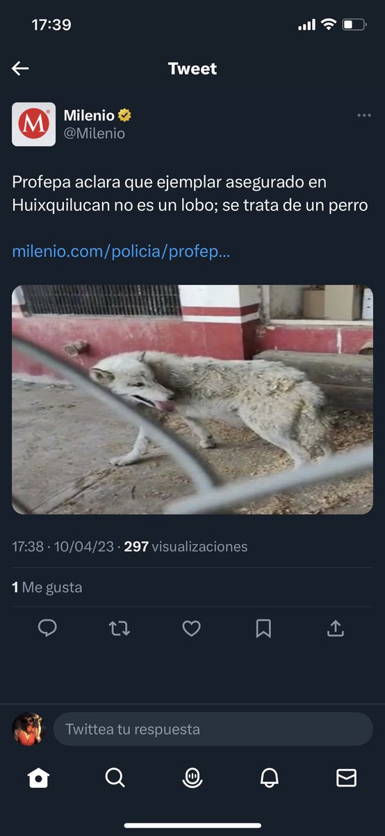 oswafet's tweet image. #EncabezadosPoderosos  #PoderosoPalante