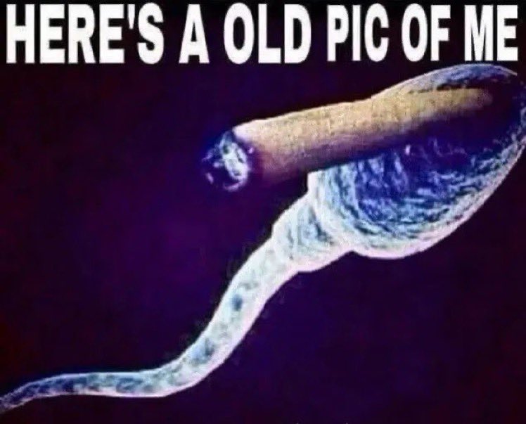 BrendanDaGawd's tweet image. 