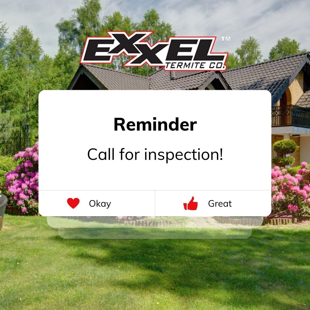 Are you in need of an inspection? Don't hesitate to call us today to see what your options are at (866)-787-6483! 🏠🦟🚫
#exxeltermite #termite #termitecontrol #fumigation #repairs #termiteinspection #freeinspection #elliethetermite #orangecounty #lacounty