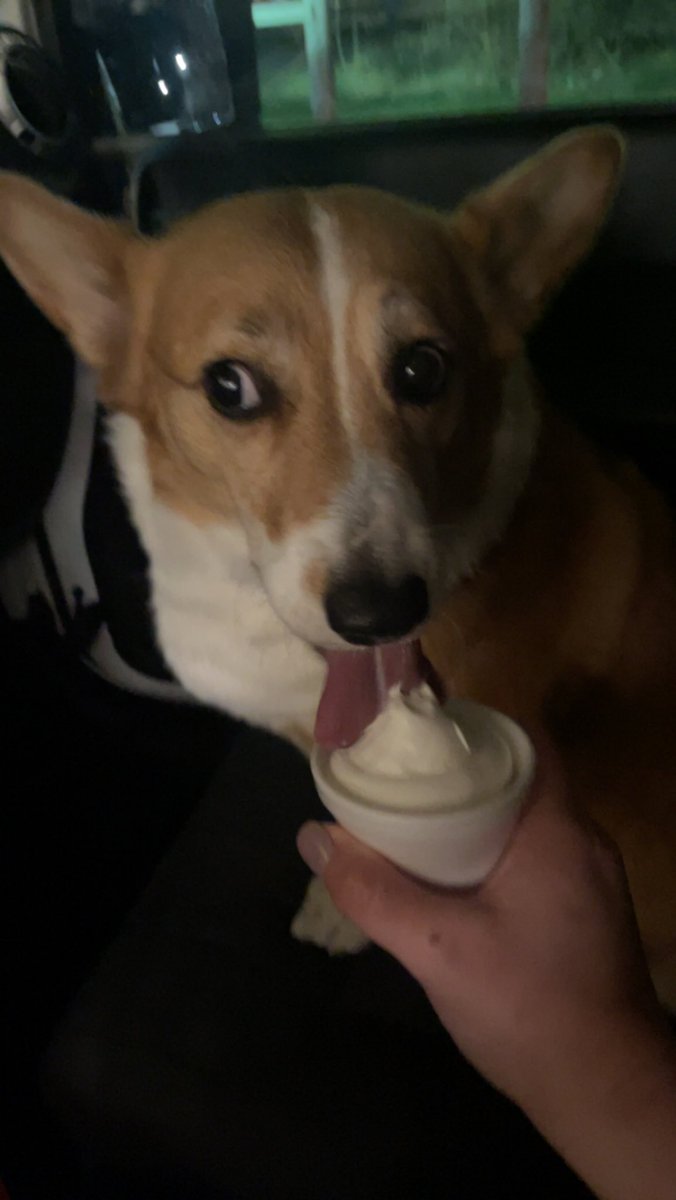 The look when you get caught cheating on your diet