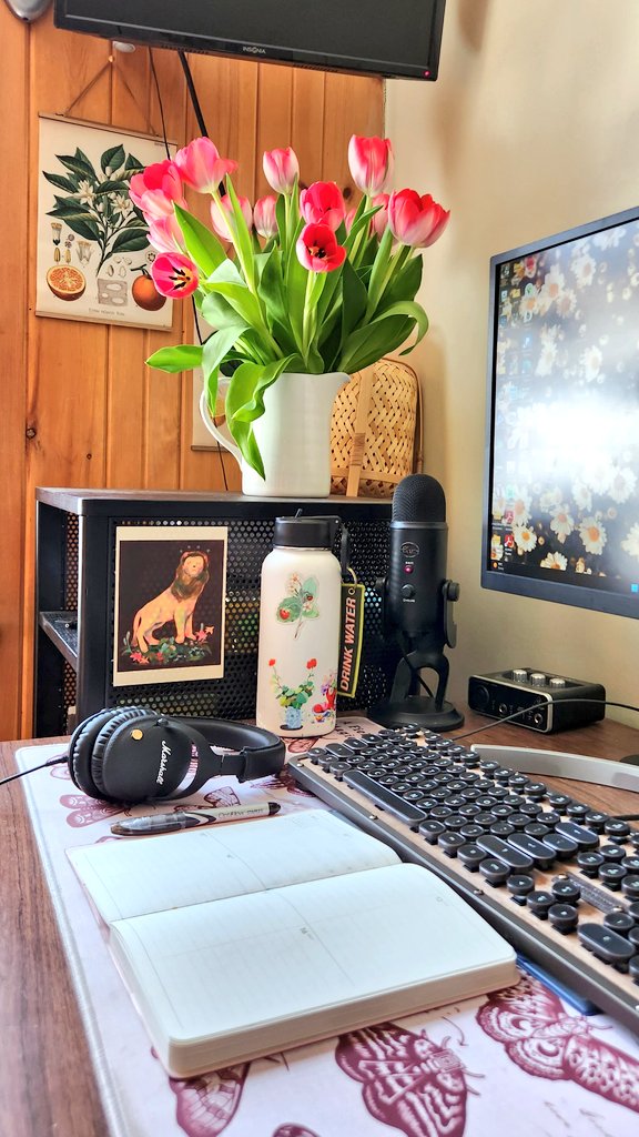 Carmico 🦋 tweet media