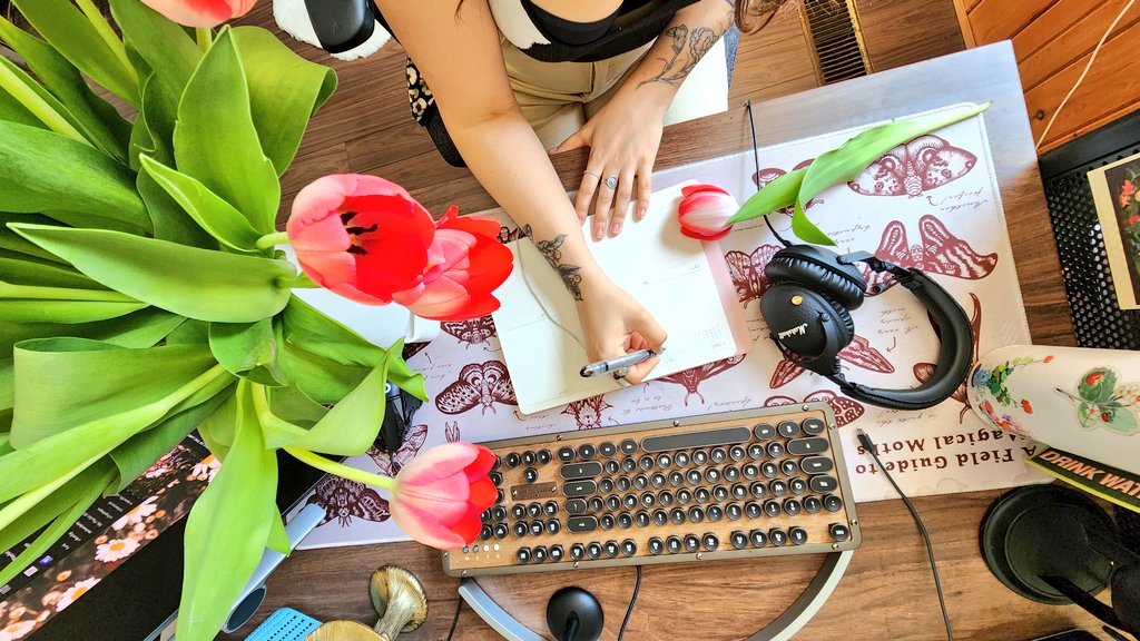 Carmico 🦋 tweet media