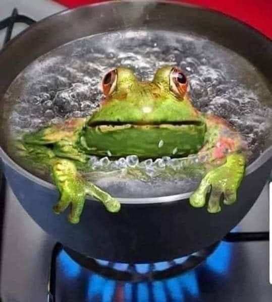 Если жабу поместить в кастрюлю с водой и поднести к огню, вы увидите кое-что интересное: жаба приспосабливается к температуре воды, остается внутри и продолжает адаптироваться к повышению температуры. Но когда вода достигает точки кипения, жаба, которая хотела бы выпрыгнуть