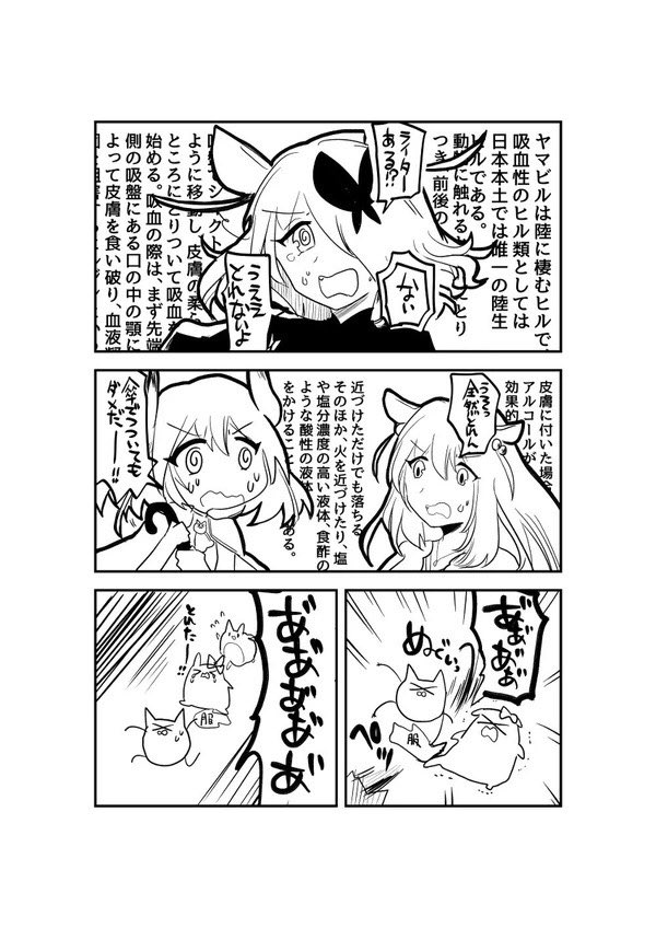 inga.🆚ヒル 