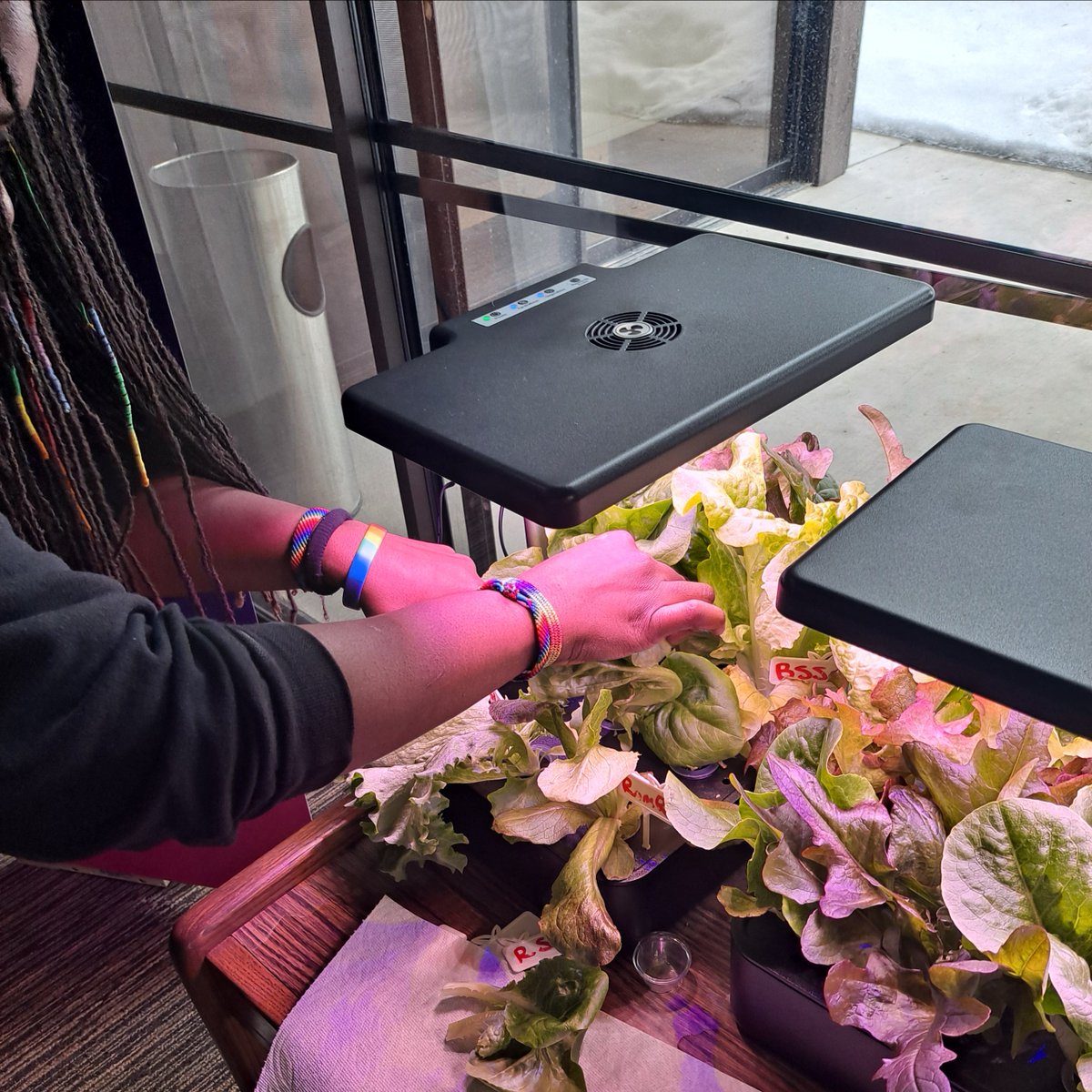 Las VegasClark County Library District on Twitter "Customers had a