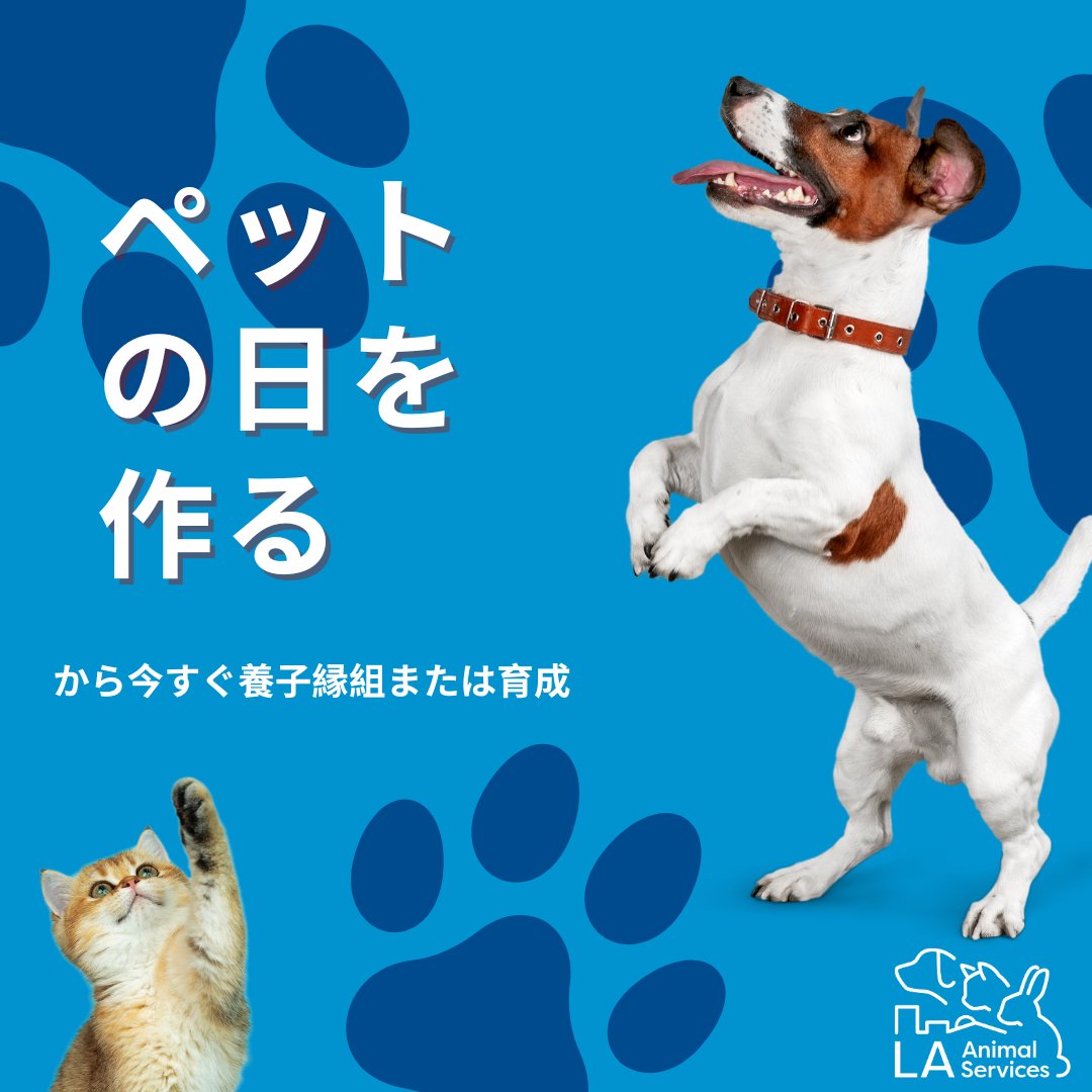 LACityPets's tweet photo. LA Animal Services is partnering with @MaddiesFund for the Open Arms Challenge this April, which aims to increase inclusivity and provide a welcoming environment for all community members. To view our adoptable pets, visit https://t.co/tqCgiDY8Aw #lacitypets #openarmschallenge https://t.co/HSUKeEufhJ