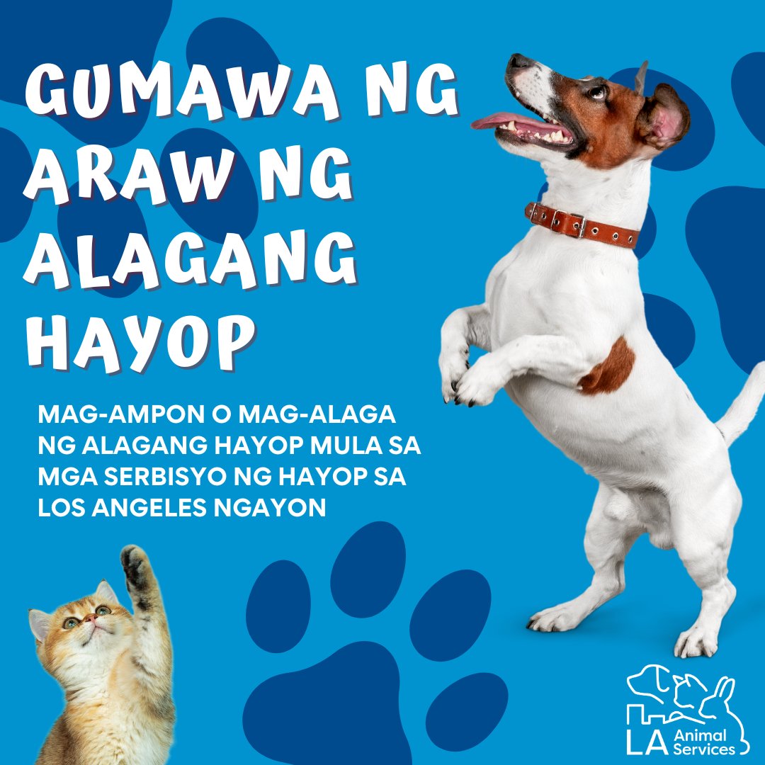 LACityPets's tweet photo. LA Animal Services is partnering with @MaddiesFund for the Open Arms Challenge this April, which aims to increase inclusivity and provide a welcoming environment for all community members. To view our adoptable pets, visit https://t.co/tqCgiDY8Aw #lacitypets #openarmschallenge https://t.co/HSUKeEufhJ