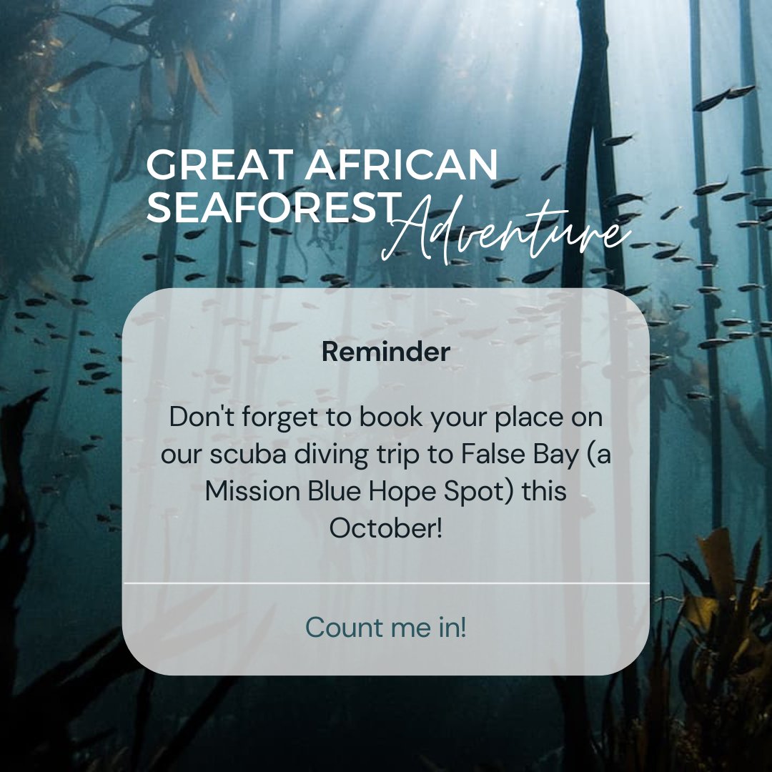 Enjoy travelling and scuba diving? Our upcoming trip combines both of these passions to bring you a trip you won’t want to miss. Join us in CAPE TOWN, this October 21-28.

Seals, kelp, wine, mountains &amp; more!

Spaces are limited, so secure your spot today!
themarinediaries.com/cape-radd-book