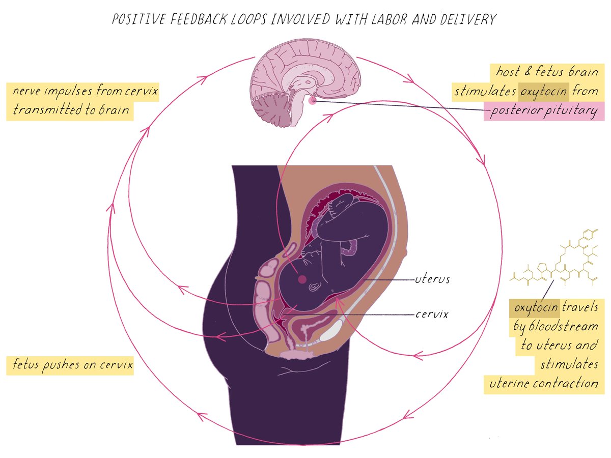 The Explorer's Guide to Biology tweet media
