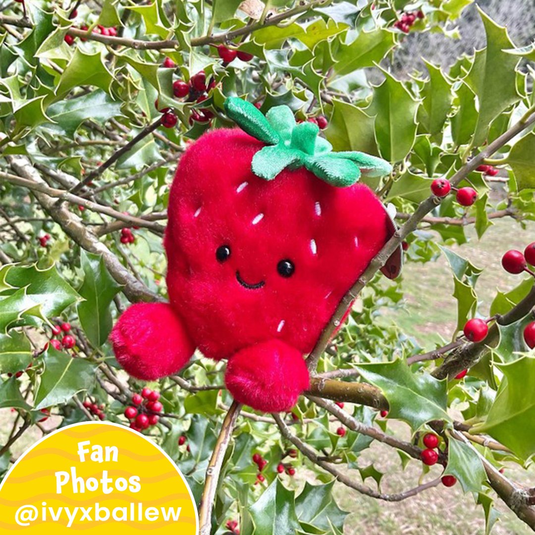 PalmpalsO's tweet photo. Who knew Juicy Strawberry could be this cute?! ๐ Thank you @ivyxballew for capturing this smile-inducing shot!
#palmpalsparty #palmpals #plushies #plushlife #plushieslife โ
#stuffedanimal #kawaiiplush #cuteplush #fanposts #fans #fanlove #strawberry https://t.co/HVnjh4pAHM