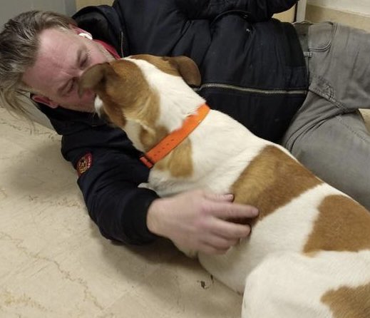 💙#bayou |Le chien Bayou, enlevé le 21 février et tant cherché par son propriétaire parisien, a retrouvé cet après-midi son maître au commissariat de Sarcelles! 
Retrouvailles émouvantes 

💙 Félicitations aux policiers du commissariat de Sarcelles ! 
#hérosduquotidien #prefet95