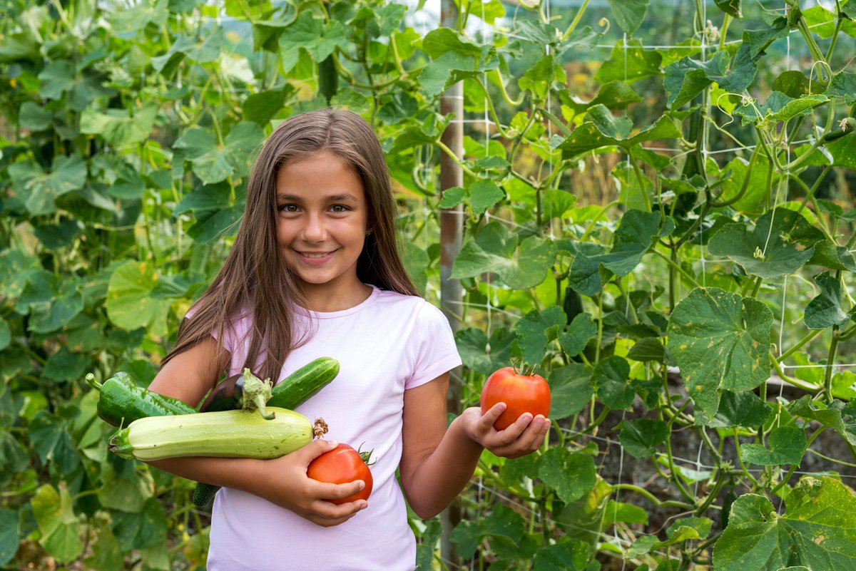 USDA Food and Nutrition Service tweet media