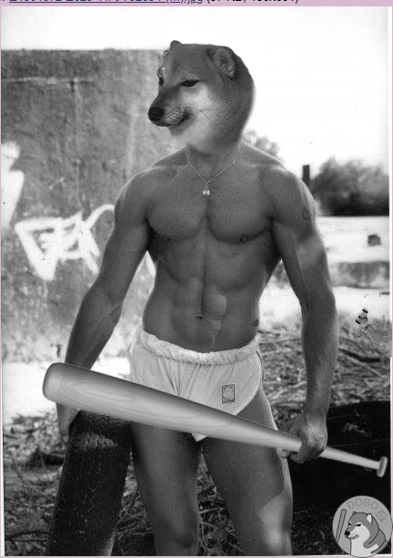 MemeLordCoke2's tweet photo. @dogebonk_token Feeling safu https://t.co/e7kBYBAtPb