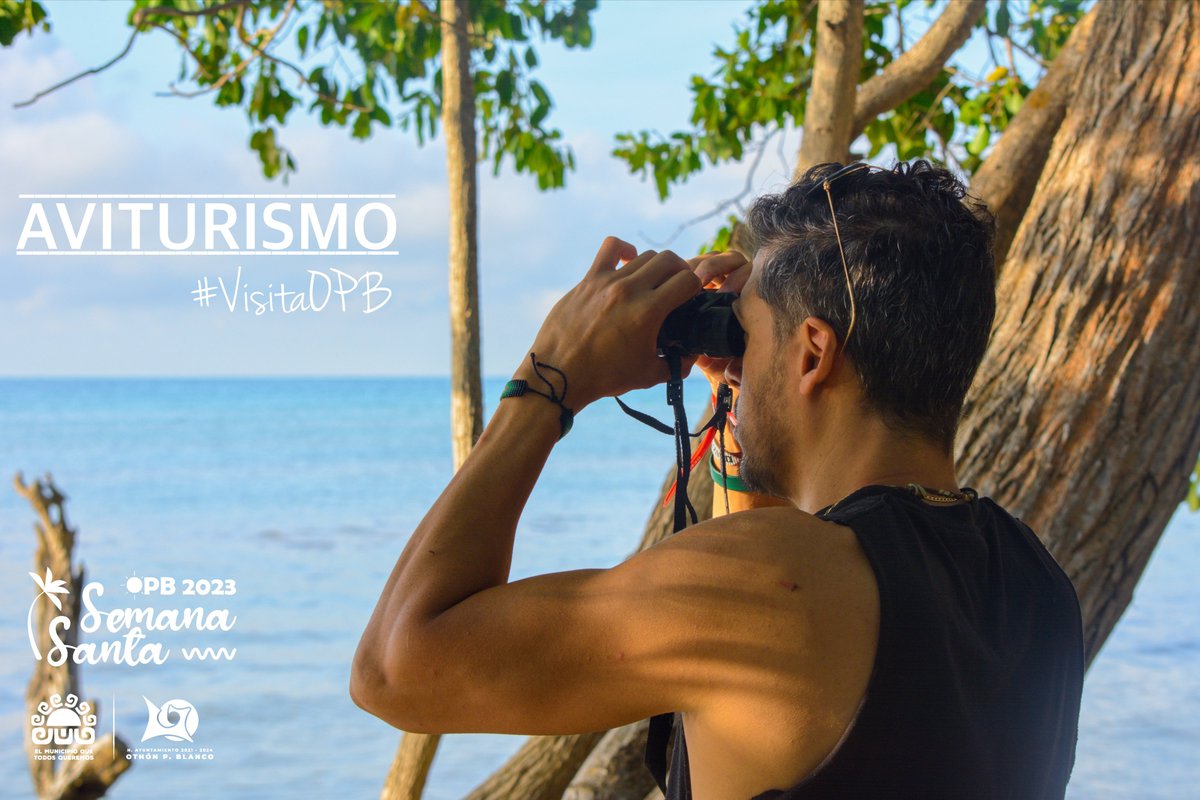 Turismo__OPB's tweet photo. 𝑶𝑻𝑯Ó𝑵 𝑷. 𝑩𝑳𝑨𝑵𝑪𝑶 𝑬𝑺 𝑵𝑨𝑻𝑼𝑹𝑨𝑳𝑬𝒁𝑨
ʟᴀ ɢʀᴀɴ ʀɪQᴜᴇᴢᴀ ɴᴀᴛᴜʀᴀʟ ᴄᴏɴ ʟᴀ Qᴜᴇ ᴄᴜᴇɴᴛᴀ ᴇʟ ᴍᴜɴɪᴄɪᴘɪᴏ ᴛᴇ ᴘᴇʀᴍɪᴛɪʀÁ ᴏʙꜱᴇʀᴠᴀʀ ᴄᴏɴ ꜰᴀᴄɪʟɪᴅᴀᴅ ʟᴀ ᴠᴀʀɪᴇᴅᴀᴅ ᴅᴇ ᴀᴠᴇꜱ Qᴜᴇ ᴀQᴜÍ ʜᴀʙɪᴛᴀɴ.
#VisitaOPB #QuintanaRoo https://t.co/myvYZsNrIG