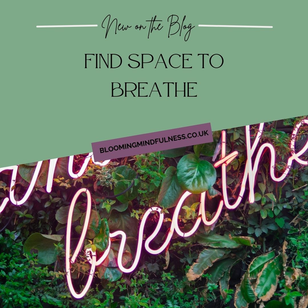 'So, this #spring something clicked in my brain, and I decided things need to '#change I need to put myself first and start to #bebetter and #livebetter.'
New #BlogPost: bloomingmindfulness.co.uk/find-space-to-… #chronicillness #disabledblogger #bloggerstribe