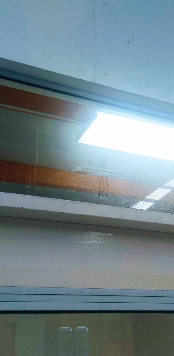 AndreeaFergar's tweet photo. Storytime de cuando una loca hizo un exorcismo en mi trabajo porque alucinaba fantasmas haha https://t.co/YVunpSbdow