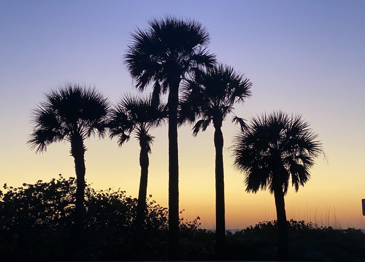 Rob Beintema tweet media