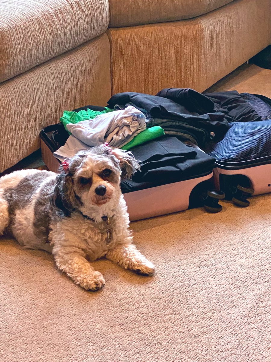 Shailini George tweet media