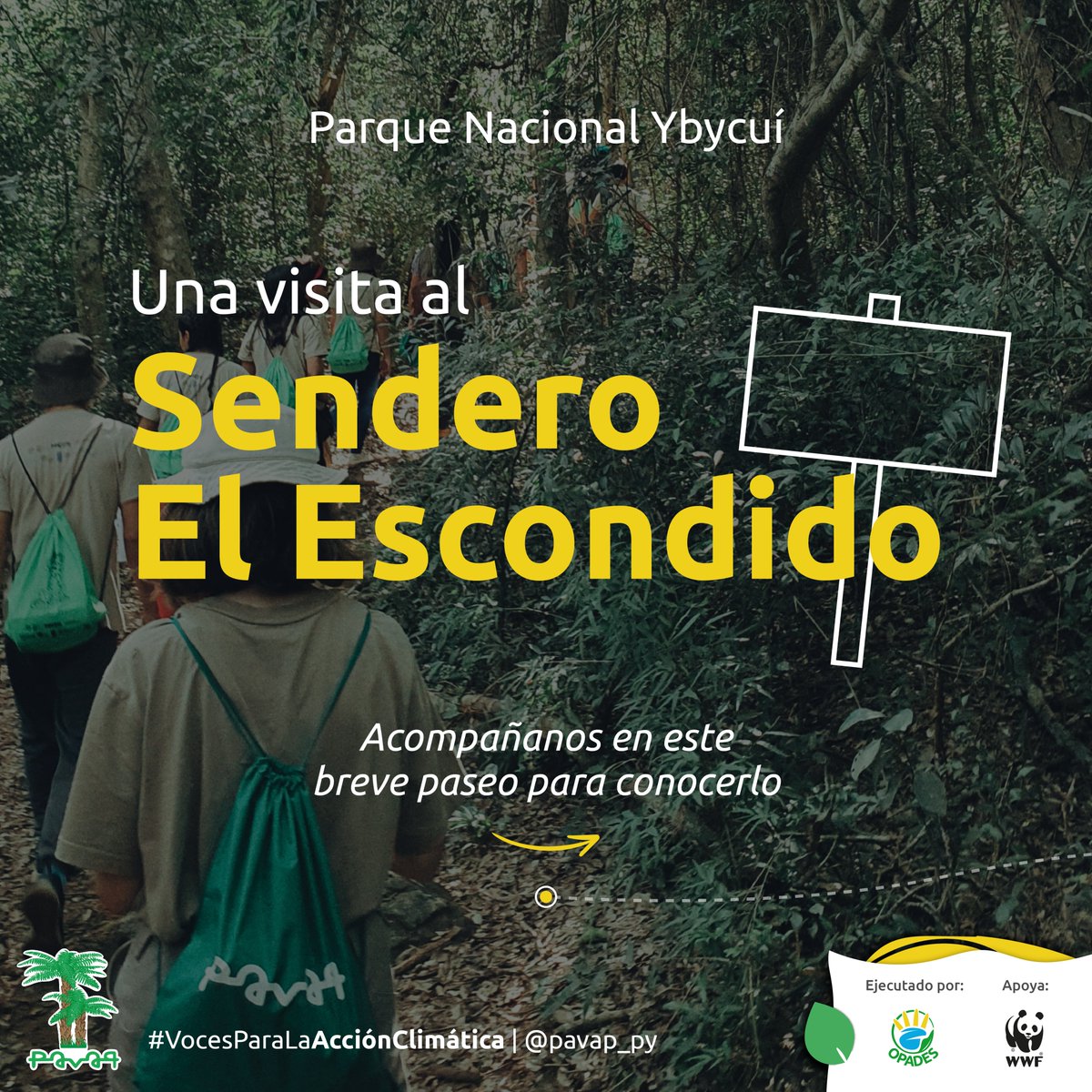 pavap_py's tweet photo. #MiércolesdeEducaciónAmbiental | El Escondido
En el transcurso de los días, los detalles pasan desapercibidos, es por eso que te invitamos a caminar por el sendero escondido del Parque nacional Ybycuí, a que descubras todo lo que se encuentra escondido a nuestros ojos. 🌳😍 https://t.co/AGnDF3KFTJ