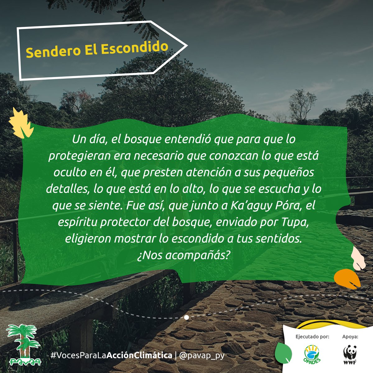 pavap_py's tweet photo. #MiércolesdeEducaciónAmbiental | El Escondido
En el transcurso de los días, los detalles pasan desapercibidos, es por eso que te invitamos a caminar por el sendero escondido del Parque nacional Ybycuí, a que descubras todo lo que se encuentra escondido a nuestros ojos. 🌳😍 https://t.co/AGnDF3KFTJ