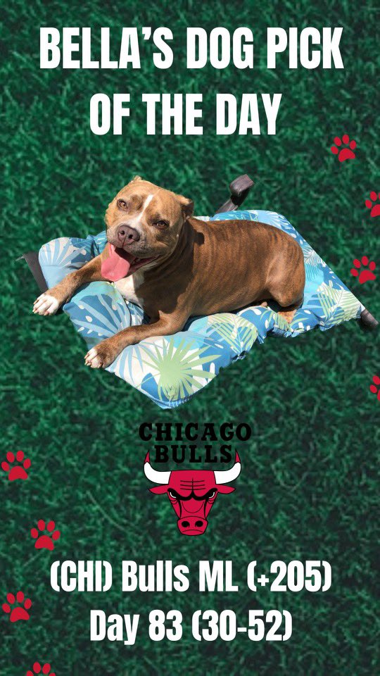 TheLocksOTD's tweet photo. 🐶BELLA'S DOG LOCK OTD🐶
‼️Overall Units +885‼️
🔥BELLA IS UP BIG🔥
🏀(CHI) Bulls ML (+205)
#bulls #chicago #nba #nbapicks #nbabets #gambling #sportsbetting #betting #dog #dogs #dogpicks #dogpick #basketball #bella #doggy #gamblingtwitter #sports #freepicks #free https://t.co/fqUlJmtNZC