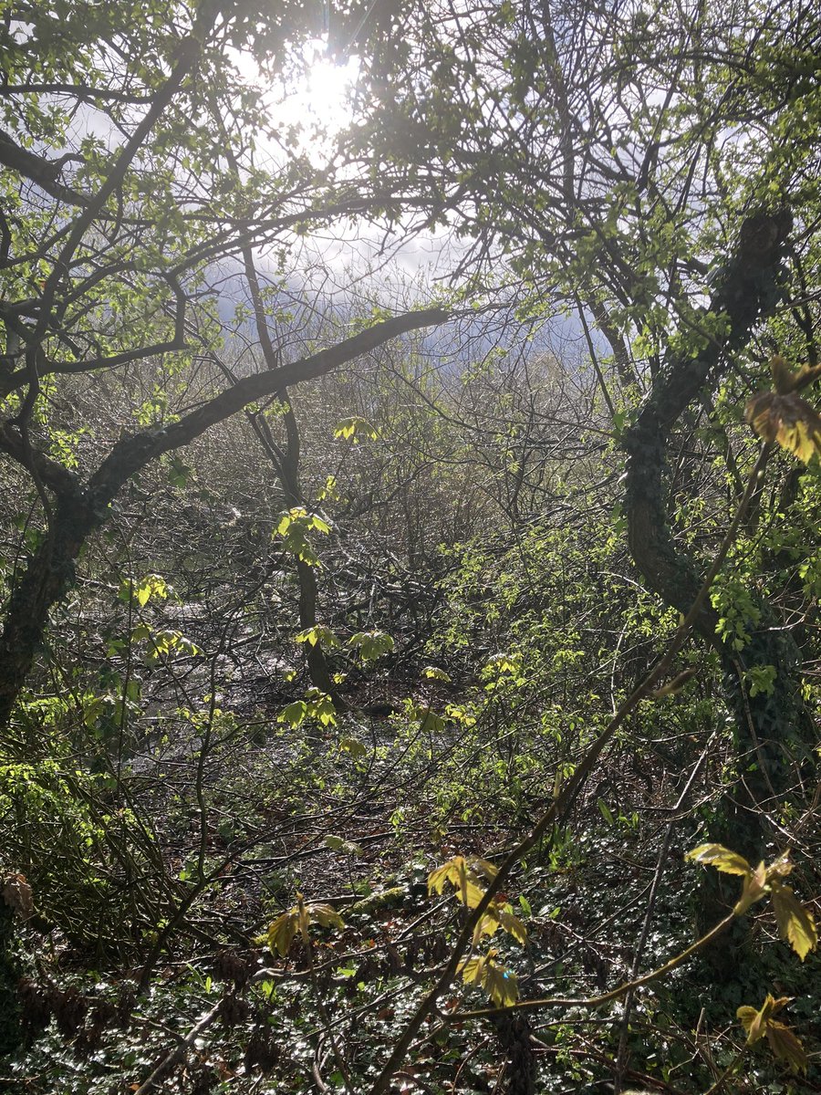 The badlands of suburbia..