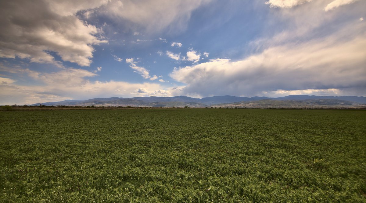 #blooddrainerphotography #photography #bulgaria #photooftheday #landscape #nature #sky #clouds #field #paradise #mountains #plovdiv #rainy #sky

photography.blooddrainer.net
patreon.com/antonatanasov
ko-fi.com/blooddrainer
instagram.com/blooddrainera/
pexels.com/@blooddrainer/