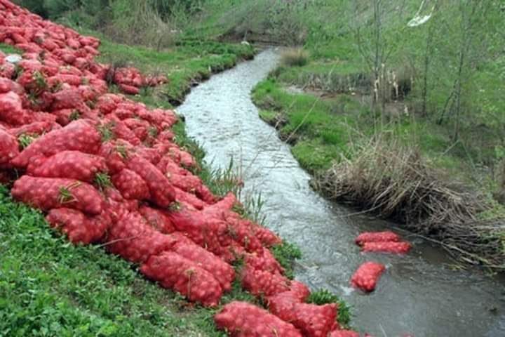 Soğansız dururuz ama vatansız duramayız, vatanda soğan yetişir ama soğanda vatan yetişmez!