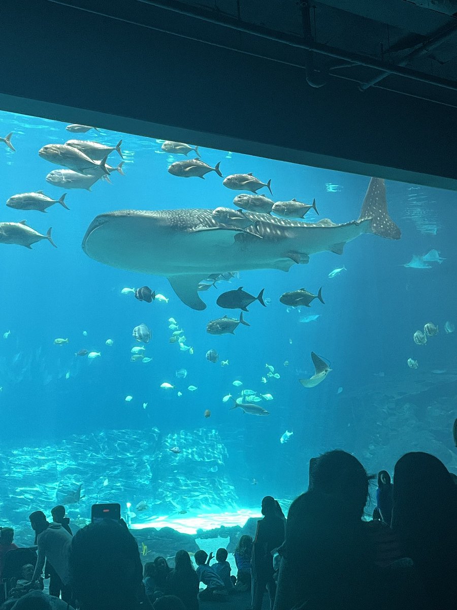 CatStiers's tweet photo. Quick solo field trip before #NCPH2023! https://t.co/gRzr9Kykif