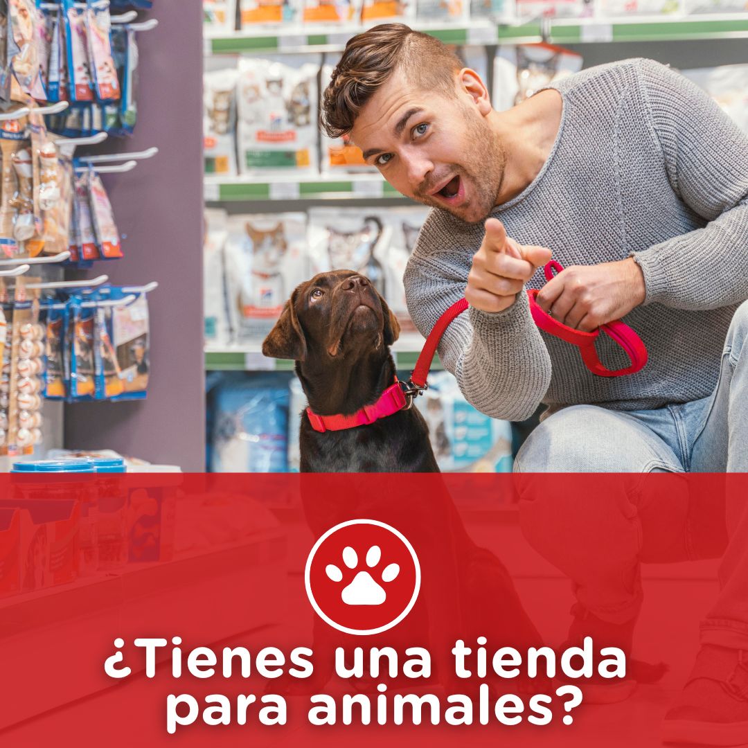 misueretail's tweet image. 🐶 En nuestra tienda online descubrirás los artículos específicos para tiendas de animales que tu negocio necesita para ofrecer una buena experiencia de compra a tu cliente y destacar tus productos.

misueretail.com/cat.../sectore…
 
#equipamientocomercial #cestas #ganchos #pinzas