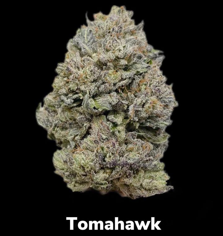gps_seedbank's tweet photo. Tomahawk (GG4 x Stardawg) grown by @oregonroots_canna and bred by Greenpoint Seeds.
#tomahawk #gorillaglue #gg4 #originalglue #stardawg #chem4 #tresdawg #cannabisculture #cannabiscommunity #growyourown #cannabisseeds #greenpointseeds https://t.co/HLCyySHHPN