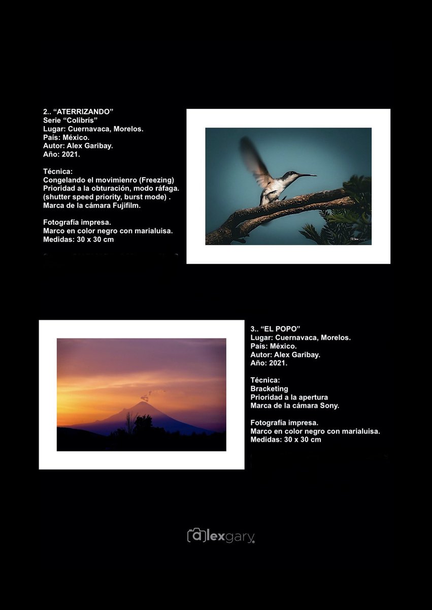 Alex_Gary10's tweet photo. Exposición “Arte en conjunto” Artes plásticas, Escultura, Fotografía, Pintura #artclan #escultura #fotografía #pintura #Abril2023 #photograghy https://t.co/ZUMtzzxs7o
