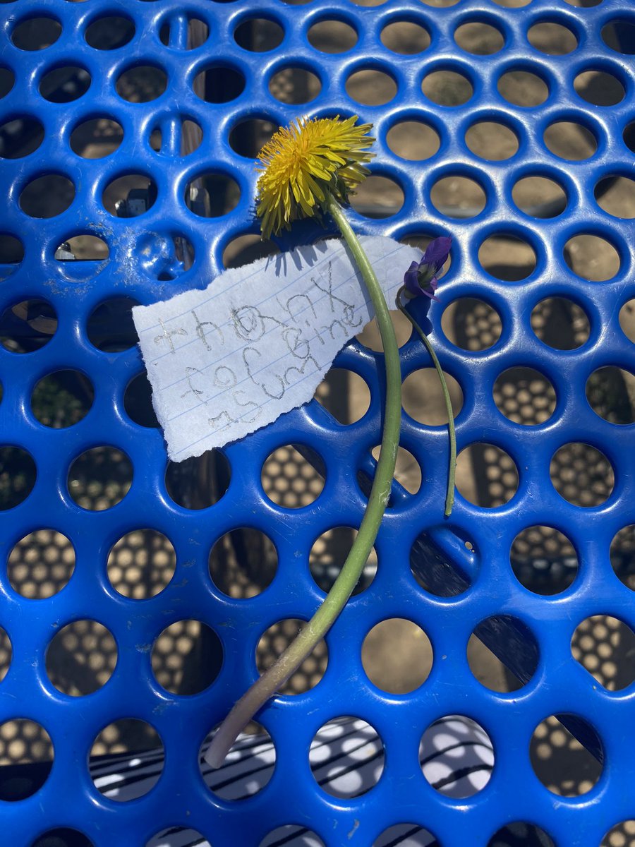 When I came outside for recess two children I don’t know handed me these flowers and note. In case you don’t teach elementary, it says, “thank you for being awesome”.