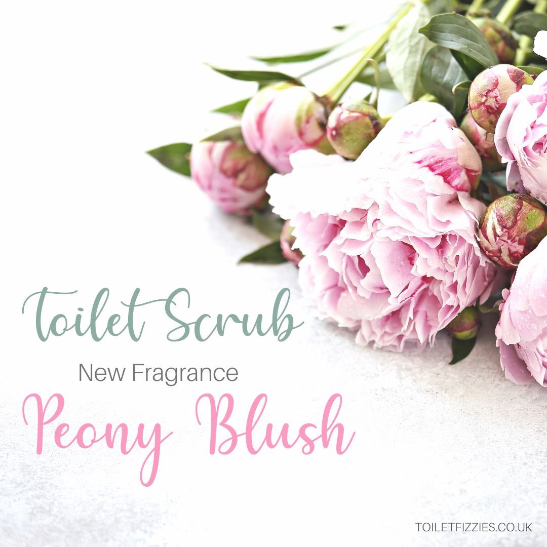 Toilet Scrub is now available in Peony Bush fragrance 🌸🌸🌸
25%off until 19th April - use code SCRUB25
#naturalcleaning #sbswinner #ecofriendly #smallbiz #toiletfizzies