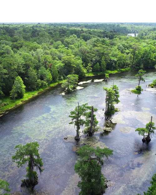 DenverProphitJr's tweet photo. @carlosgil83 @elonmusk Jacksonville has atrocious traffic! He should check out Wakulla Springs it’s beautiful! https://t.co/ksNqTiYhNc