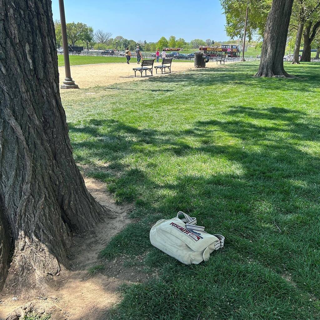 jtillhuman's tweet photo. My office for at least part of today. #Writing #AmWriting #AlwaysBeWriting https://t.co/L7VJtLmLwF https://t.co/h4mlsZlu2r