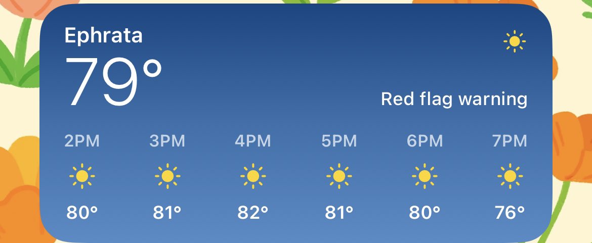 lowen_exe's tweet photo. why is the weather app warning me about red flags???? is this a new horoscope feature or something https://t.co/chnqLdfWth